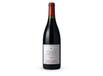 cantine4valli-pinot-nero