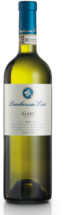 07_gavi